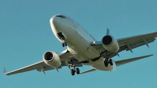 WestJet Boeing 737700 Landing at YLW [upl. by Calvo]