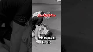 submission attacks nogi mma grappling jiujitsu julesbruchez mountdefense shorts viralvideo [upl. by Seagraves453]