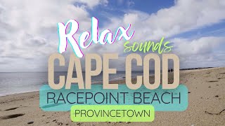 ASMR Racepoint Beach Provincetown [upl. by Nevi743]