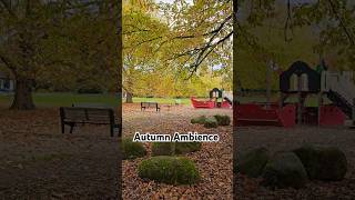 Autumn Ambience  Cozy Fireplace with Soft Music [upl. by Lach583]