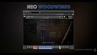 Neo Woodwinds  Modern Soloists  Indepth Walkthrough  Kontakt Instrument [upl. by Simeon]