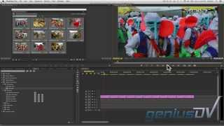 Automated Slideshow in Adobe Premiere CC [upl. by Aon399]