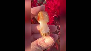 Sardonyx agate crystal mushroom carving cottagecore mushroomcore [upl. by Denna]