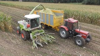 Claas Jaguar 690 Forage Harvester [upl. by Ycaj]