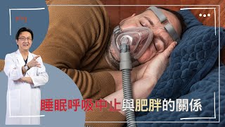 ｜直播｜睡眠呼吸中止與肥胖的關係｜腸胃霖負擔｜ [upl. by Laks]