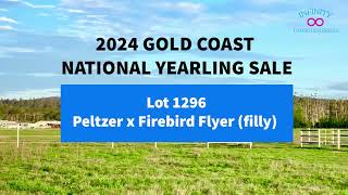 2024 GC National Yearling Sale  Lot 1296  Peltzer x Firebird Flyer  Filly [upl. by Assirat]