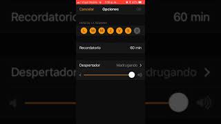 Sonido De Alarma De iPhone Despertador [upl. by Cirded]