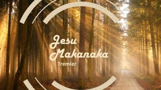 Hallelujah Jesu Makanaka by Tremier Cover by Sean Njenje worship worshipsongs live [upl. by Garmaise789]