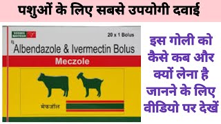 albendazole amp ivermectin bolus tablets for animals  pashuo ke pet ke kide marne ki davai animals [upl. by Abehshtab666]