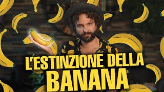 Questa potrebbe essere la tua ultima banana [upl. by Pagas64]