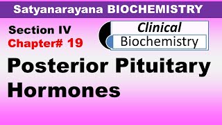 Chp19 Satyanarayana Biochemistry  Posterior Pituitary Hormones  Oxytocin  Antidiuretic Hormone [upl. by Joanie]