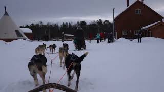 Holmen Husky adventure in Alta Norway 2016 [upl. by Nivets732]