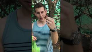 MAN VS FRUIT Guamuchil Manila Tamarind Monkey Pod Rare Tropical Fruit in the Philippines [upl. by Matthew]