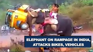 FULL VIDEO Angry Elephant on rampage in Kerala  INDIA Palakkad [upl. by Collimore661]