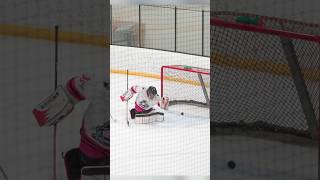 Goal or No hockey hockeylife hockeyplayer hockeyisforeveryone goal nogoal ref referee [upl. by Hadrian869]