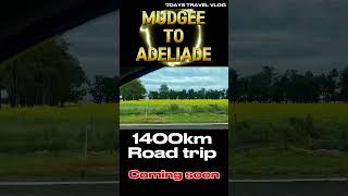 Mudgee to AdelaideRoad trip1400km [upl. by Asilav986]