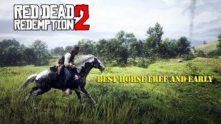 Get the Missouri Fox Trotter Early in CHAPTER 2 Red Dead Redemption 2 [upl. by Prud]