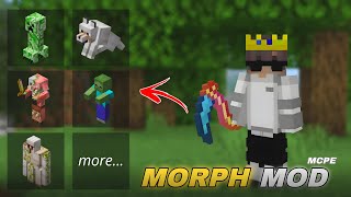 BEST MORPH Mod For Minecraft Pe 120  Morph Into Anything  minecraft [upl. by Ysdnil244]