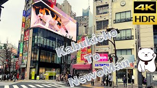 Day Walk From Kabukicho To NewoMan Shinjuku  歌舞伎町  4K [upl. by Aicyle]