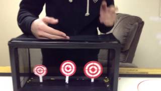 Crosman Auto Reset Target Review [upl. by Feodore]