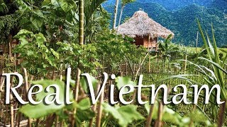 Real Vietnam  The Pu Luong Nature Reserve [upl. by Eevets832]