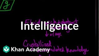 Intelligence  Processing the Environment  MCAT  Khan Academy [upl. by Yriek558]