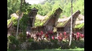 Tana Toraja Indonesia  Visit Toraja Indonesia  Peta map  Toraja Travel Guides Tourism [upl. by Onitnas927]