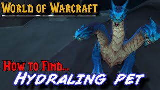 World of Warcraft  How to find the Hydraling pet Varasha rare spawn [upl. by Huxley]