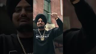 Asi aj de raje aaa sidhumoosewala tranding viralvideo newshorts shorts [upl. by Galateah]