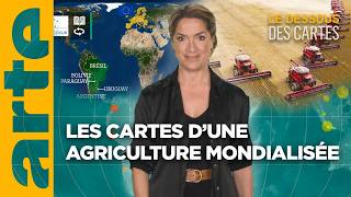 Agriculture mondialisée  le meilleur et le pire  LEssentiel du Dessous des Cartes  ARTE [upl. by Stacy]