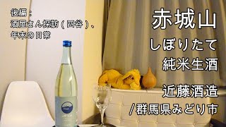 659【赤城山 しぼりたて】日本酒レビュー＋Vlogめいたもの186 酒屋さん探訪（四谷）、年末の日常 [upl. by Marquez667]