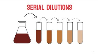 Serial Dilutions  Microbiology [upl. by Reid]