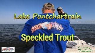 Lake Pontchartrain Speckled Trout [upl. by Nnylav]