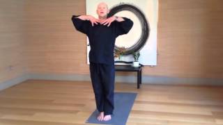 Short autumn Zen yoga sequence  with Daizan Roshi [upl. by Poore]