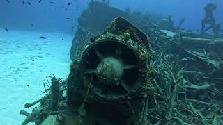 The Keith Tibbitts in Cayman Brac Beach Dive [upl. by Dnomder640]