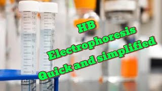 How to run HB electrophoresis in the laboratory  HB genotype [upl. by Yedarb484]