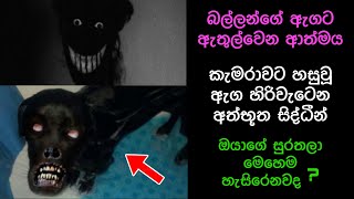 කැමරාවට හසුවූ හොල්මන් Part 20 Paranormal Activity kazzai holmanscience  Education [upl. by Hilarius]