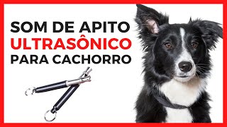 Apito Para Atrair Cachorro  Som de Apito Ultrassônico Para Cachorros [upl. by Aikrahs]