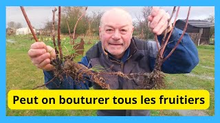 Peut on bouturer tous les fruitiers [upl. by Anidan]