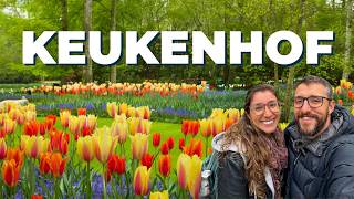 KEUKENHOF  Conheça os Famosos Jardins de Tulipas da Holanda COM PREÇOS [upl. by Moreta]