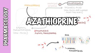 Azathioprine  Pharmacology mechanism of action side effects [upl. by Sitnalta]