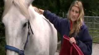 How to Saddle a Horse [upl. by Feld]