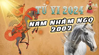 Tử vi 2024  Nam Nhâm Ngọ sinh năm 2002 trong năm 2024 Tử vi tuổi Nhâm Ngọ [upl. by Ahsemad552]