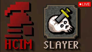 HCIM  More Slayer  🔴Livestream [upl. by Xylon]