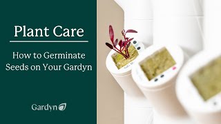 How to Germinate Seeds on Your Gardyn [upl. by Aubry]