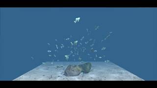 Flocking Shoaling Schooling whatever Fish  Unity 5 [upl. by Aicilf]