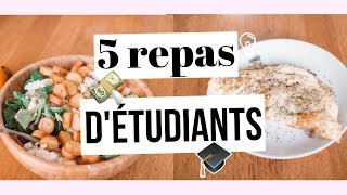 5 idées de plats pour étudiants 40  Facile pas cher rapide et bon [upl. by Ricky935]