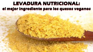 LEVADURA NUTRICIONAL el mejor ingrediente para los quesos veganos por Nely Helena Acosta Carrillo [upl. by Tnahs]