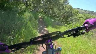 2024 Sea Otter  Enduro  Stage 3 [upl. by Conal208]