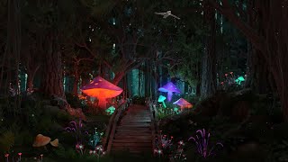 Enchanted Forest  Music amp Ambience  Mystical Night Forest [upl. by Lusar]